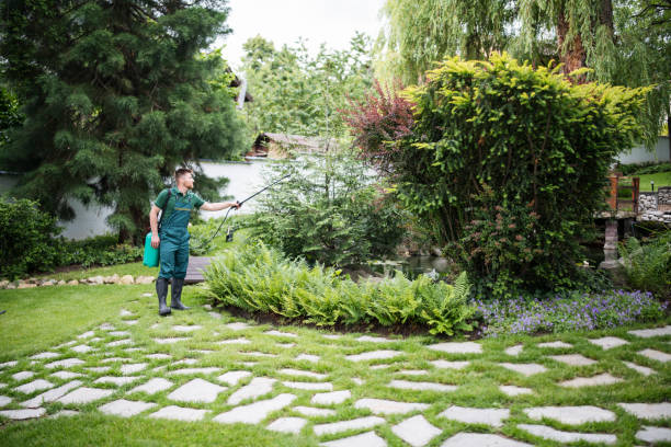 Trusted Lake Mack Forest Hills, FL Pest Control Experts