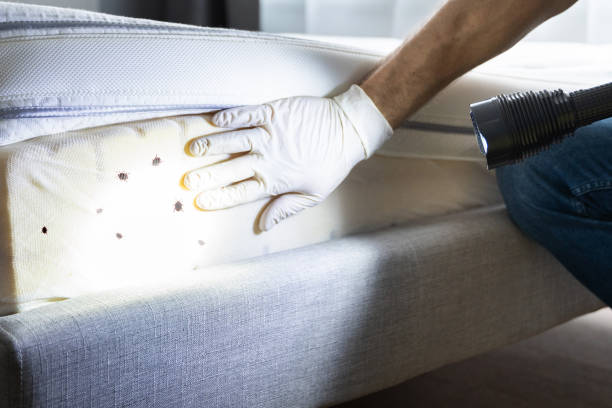 Best Pest Control Near Me  in Lake Mack Forest Hills, FL