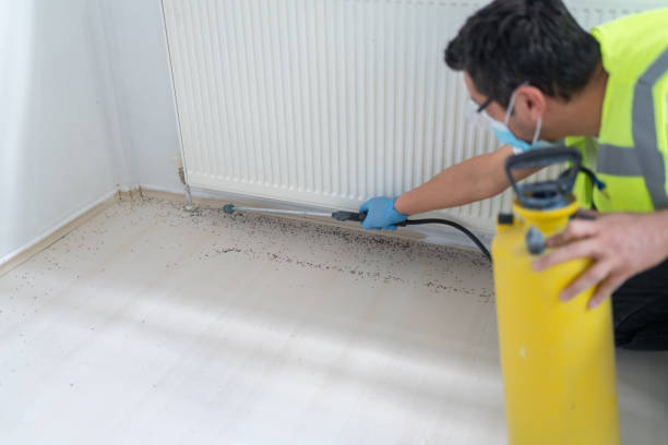 Best Emergency Pest Control  in Lake Mack Forest Hills, FL